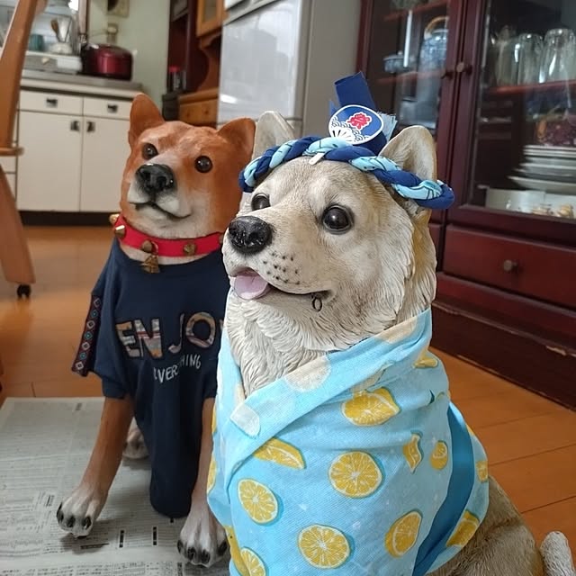 NOAHさんの部屋