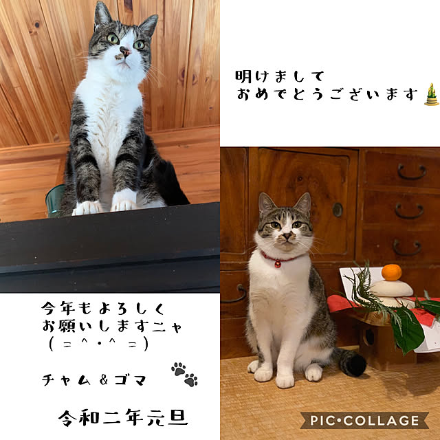 chamさんの実例写真