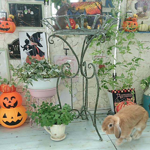 ruruさんの実例写真