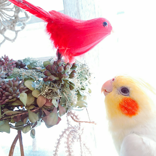 keikorinさんの実例写真