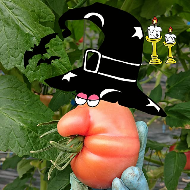 maiさんの実例写真
