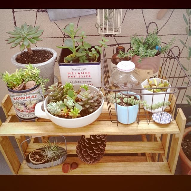 eriさんの実例写真