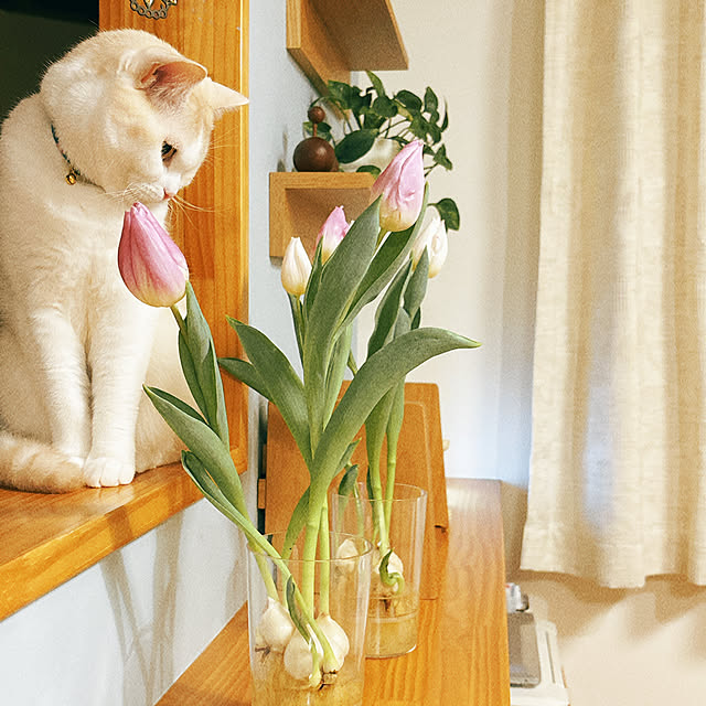madeleineさんの部屋