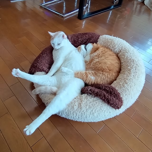 NOAHさんの部屋