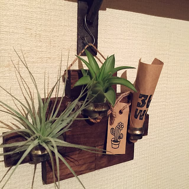 beansさんの実例写真