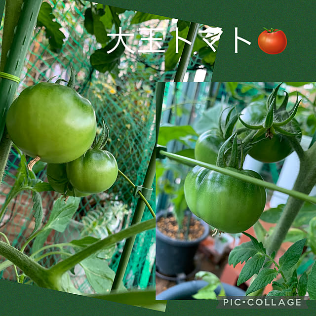 Aqettyさんの実例写真