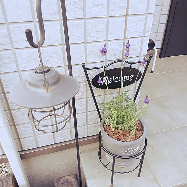 kaanaさんの実例写真