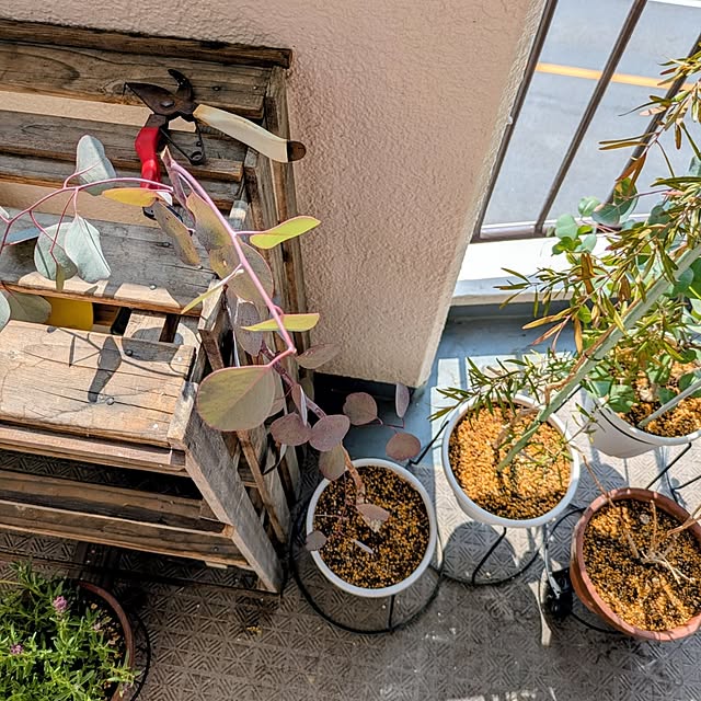 mi-saさんの部屋