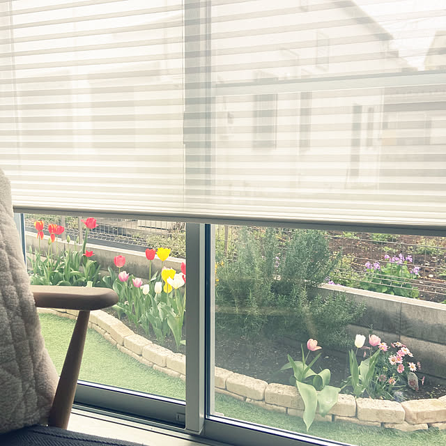 Haruさんの実例写真