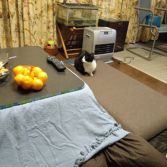 okyosan101さんの実例写真