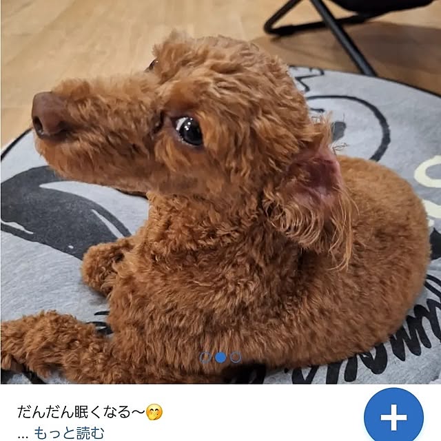 Blancheさんの部屋