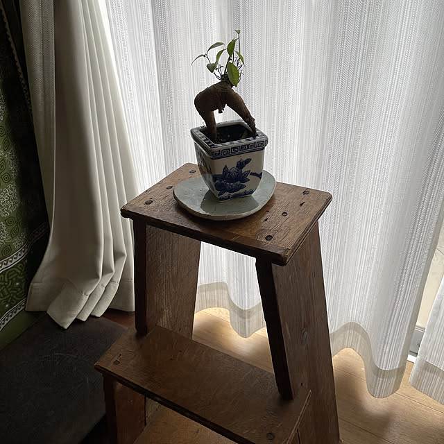 shin0719さんの実例写真