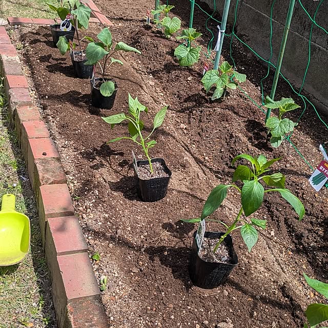 ramuramuさんの部屋