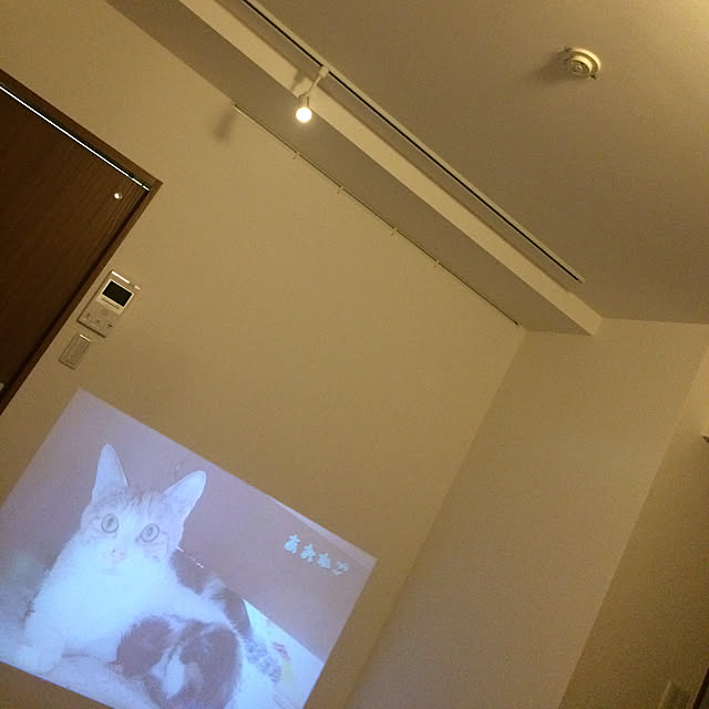 Lisaさんの実例写真