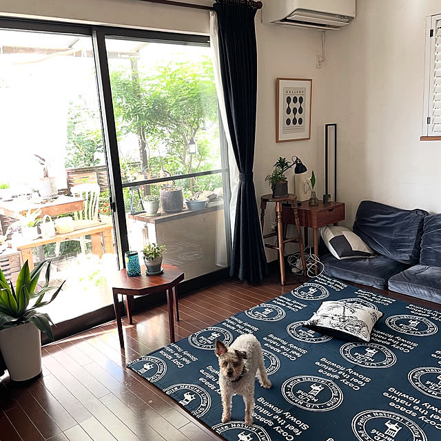 kuroさんの部屋