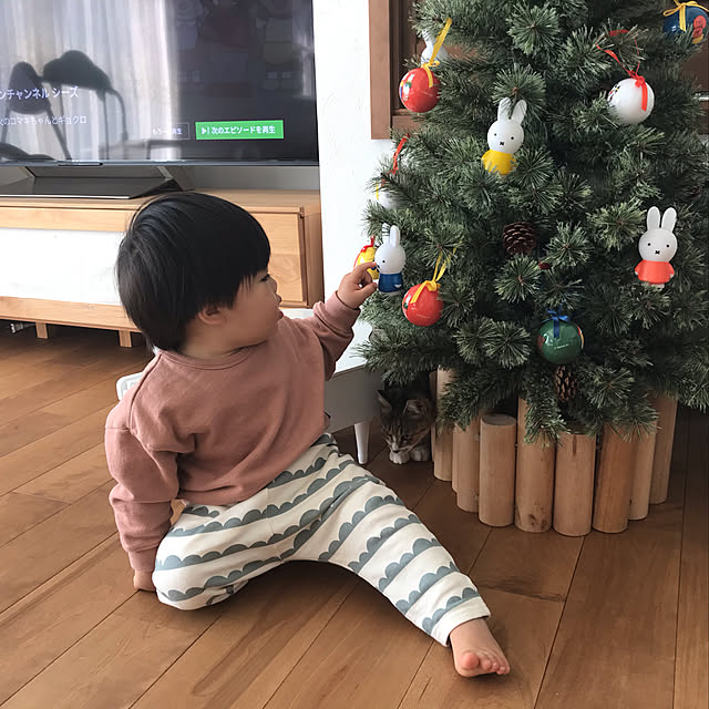 usa-homeさんの実例写真