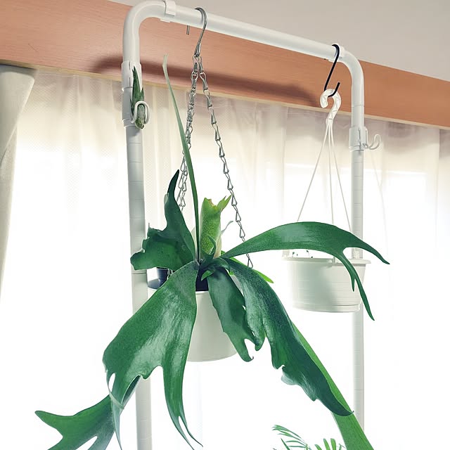 nachiさんの部屋