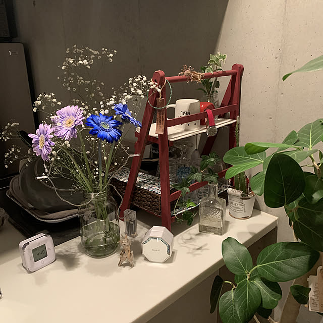 olive18さんの実例写真