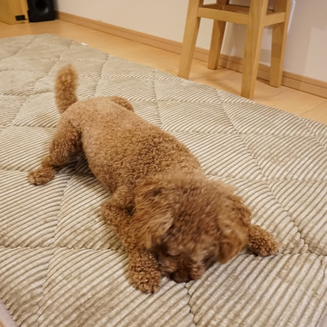 ahiruさんの実例写真
