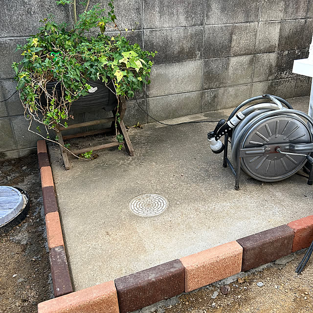 anne_sharlyさんの部屋