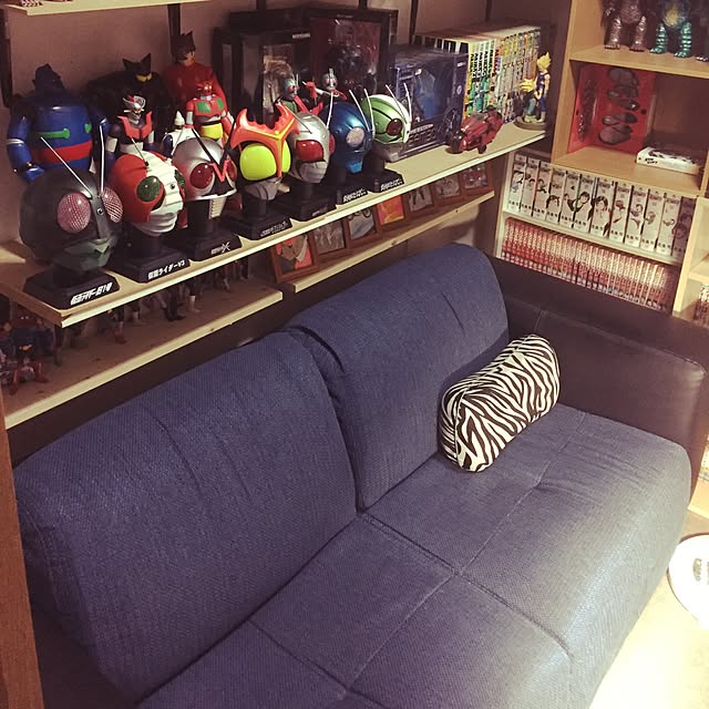 KAMENRIDER009さんの実例写真