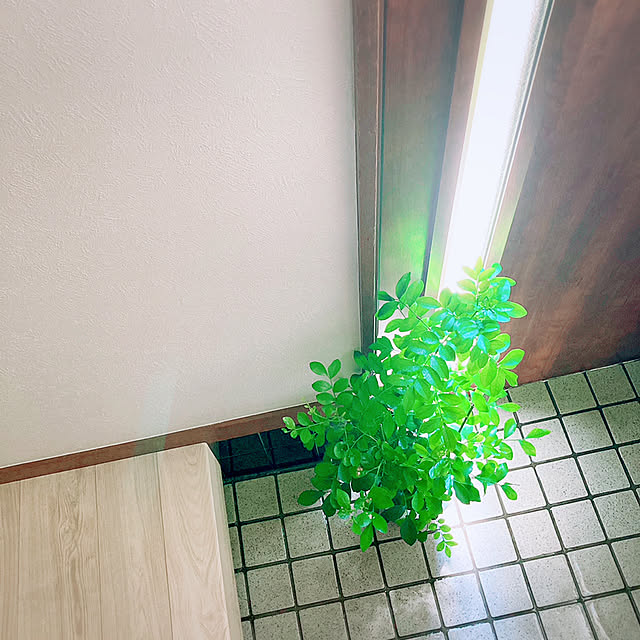 mommyさんの実例写真