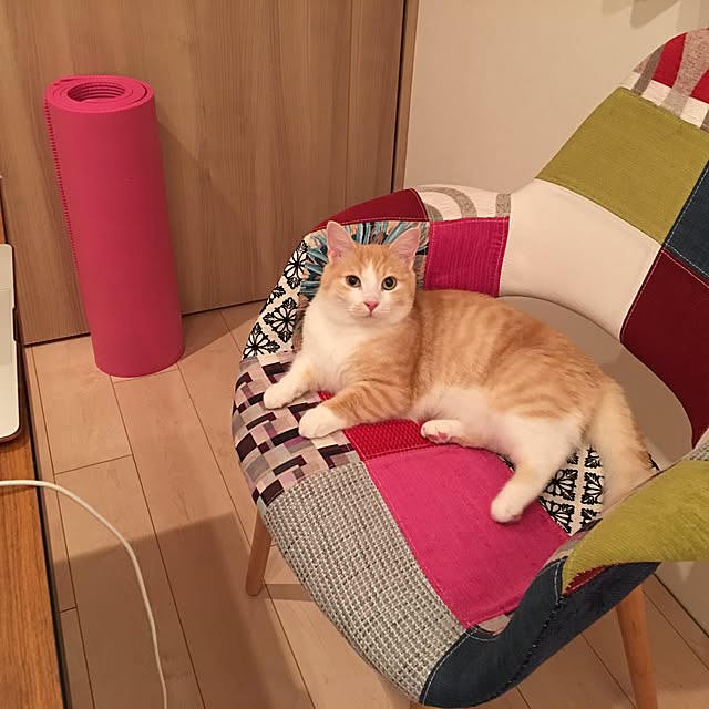korinkorinさんの実例写真
