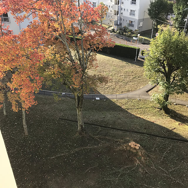 mamboさんの実例写真