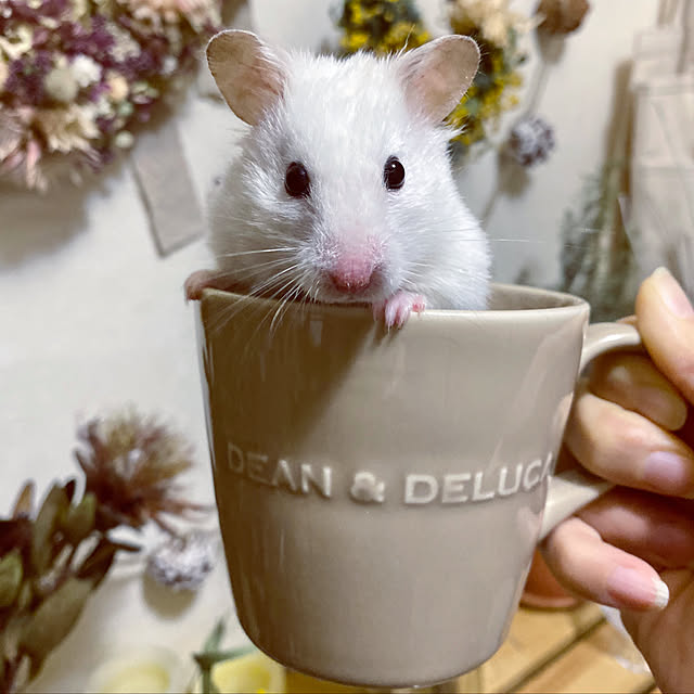 emiさんの実例写真