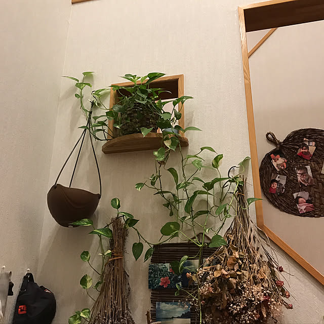 玄関/入り口/ドライフラワー/観葉植物のインテリア実例 - 2017-09-25 22:26:40