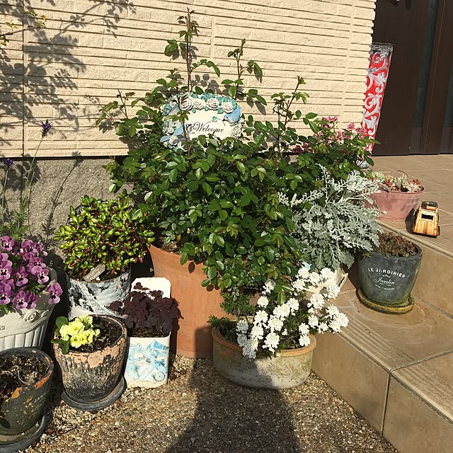 sanw2225719さんの実例写真