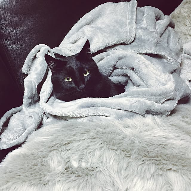 COCOさんの実例写真