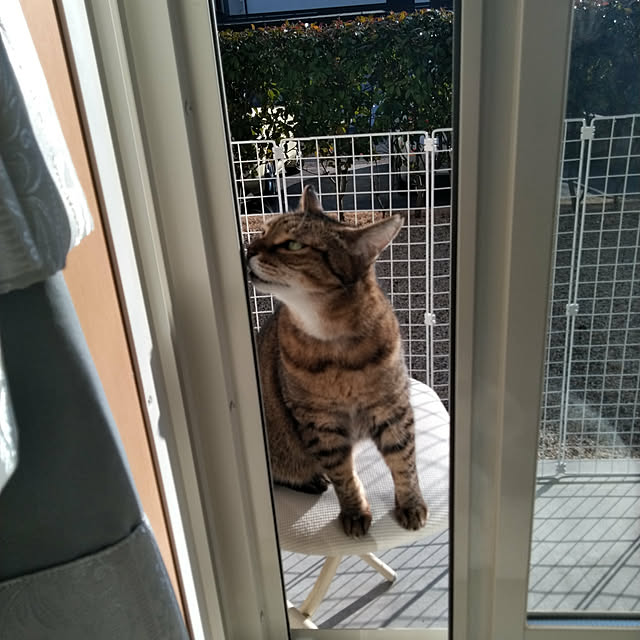 lilyさんの実例写真