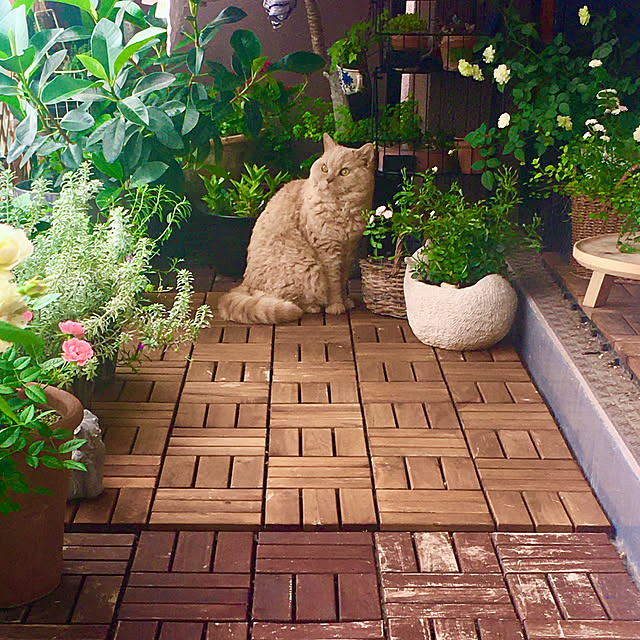 naokoさんの部屋
