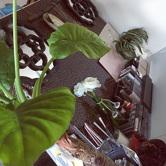 0831Mobbyさんの実例写真