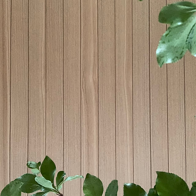 nonoさんの実例写真