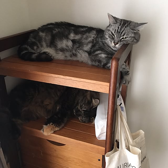 mikomaruさんの実例写真
