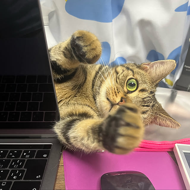 karinさんの実例写真