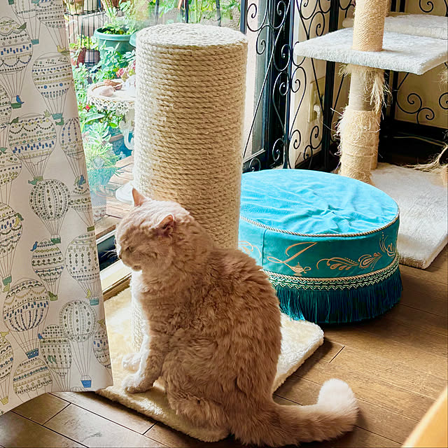 naokoさんの部屋