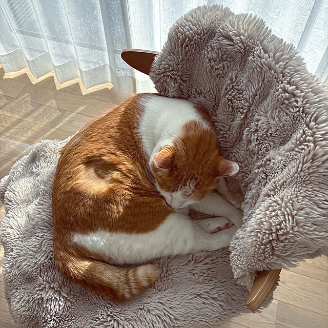 manama-maさんの実例写真