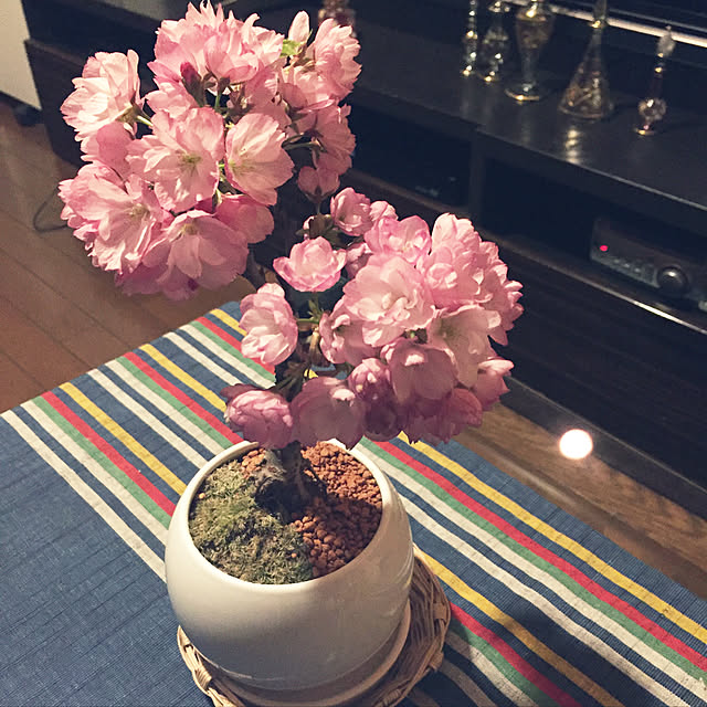 yaminamさんの実例写真