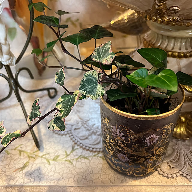 AYUKOさんの部屋