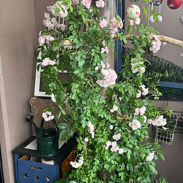 naokoさんの部屋