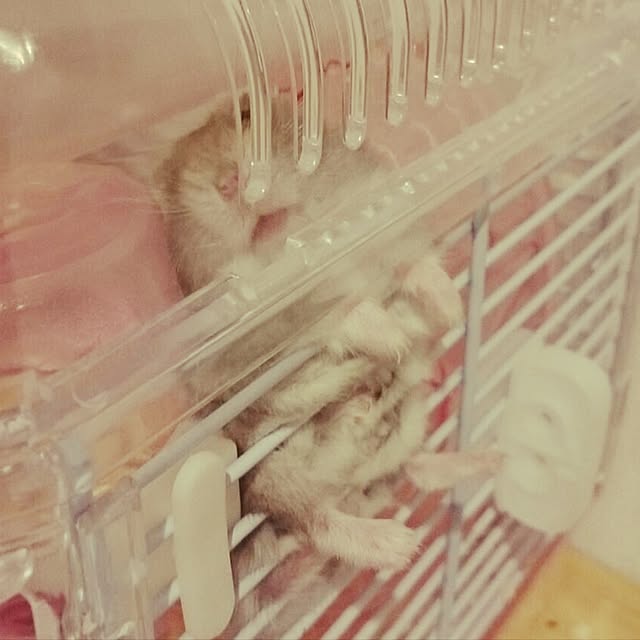 n.a.rさんの実例写真
