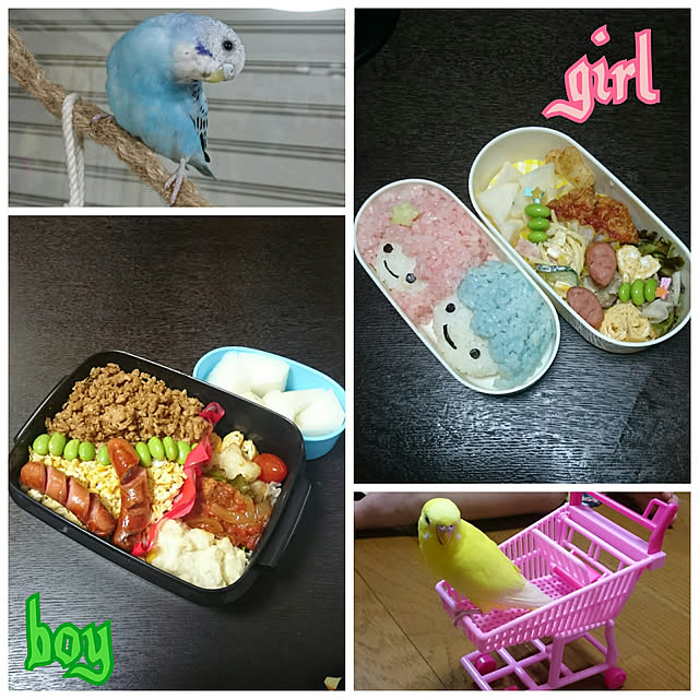 rika-snyさんの実例写真