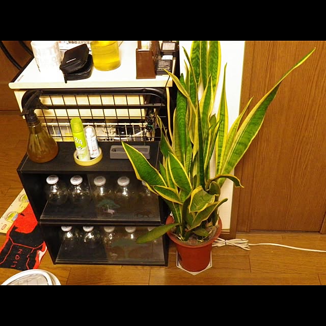 Rehiroさんの実例写真