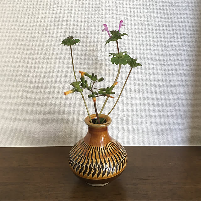 _sakumasikiさんの実例写真