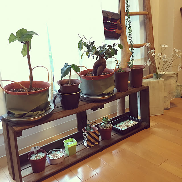 yunnnnnxさんの実例写真