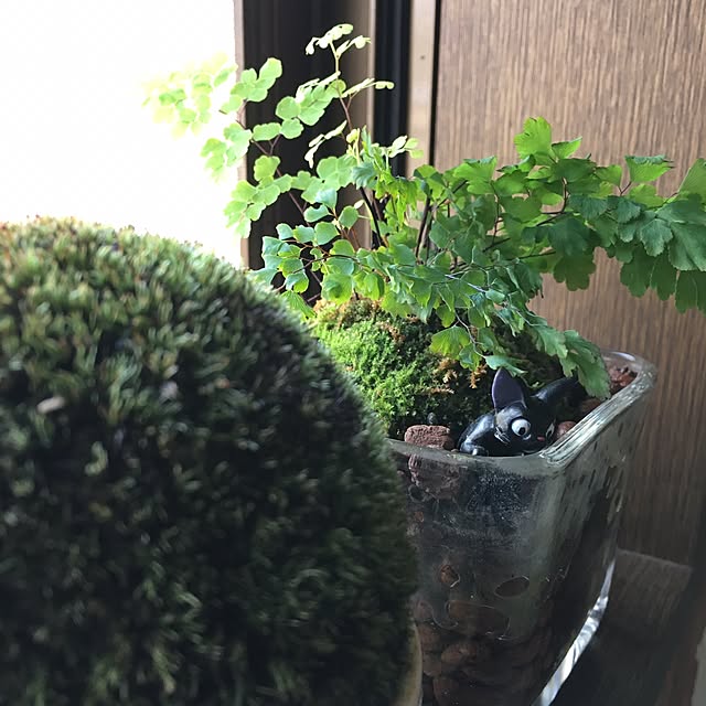 lockさんの実例写真