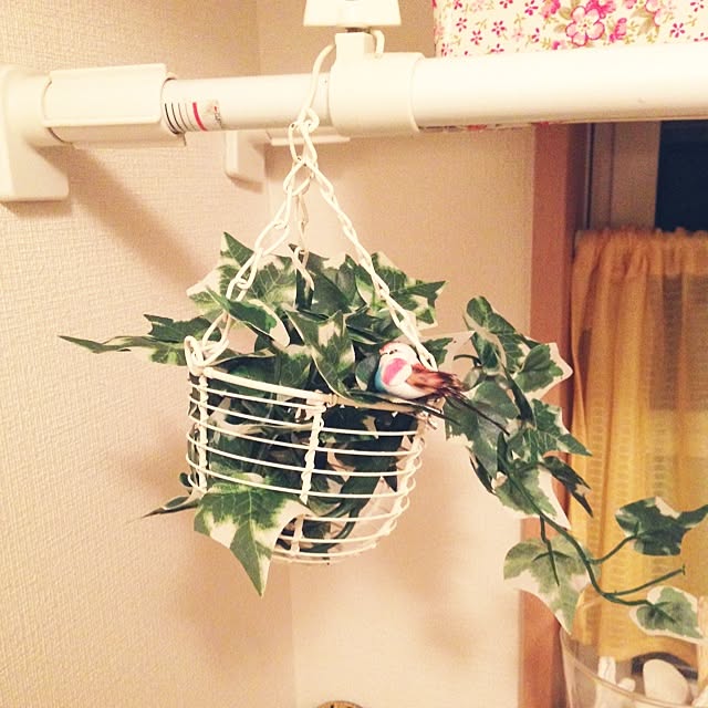 maruさんの実例写真